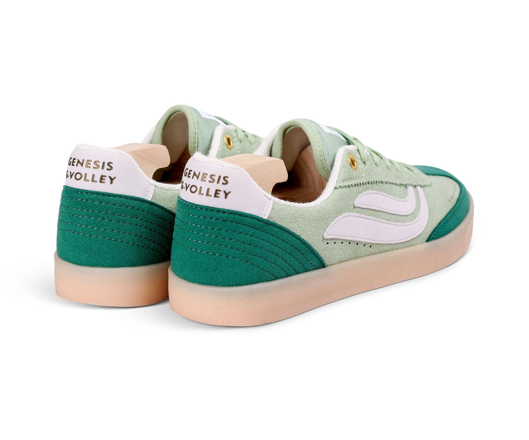 GENESIS G-Volley Sugar Corn