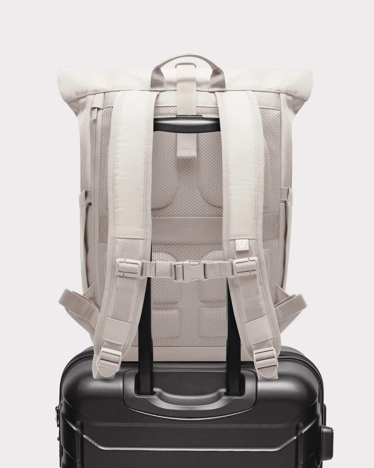 JOHNNY URBAN Rolltop Backpack "Allen Medium" – various colors