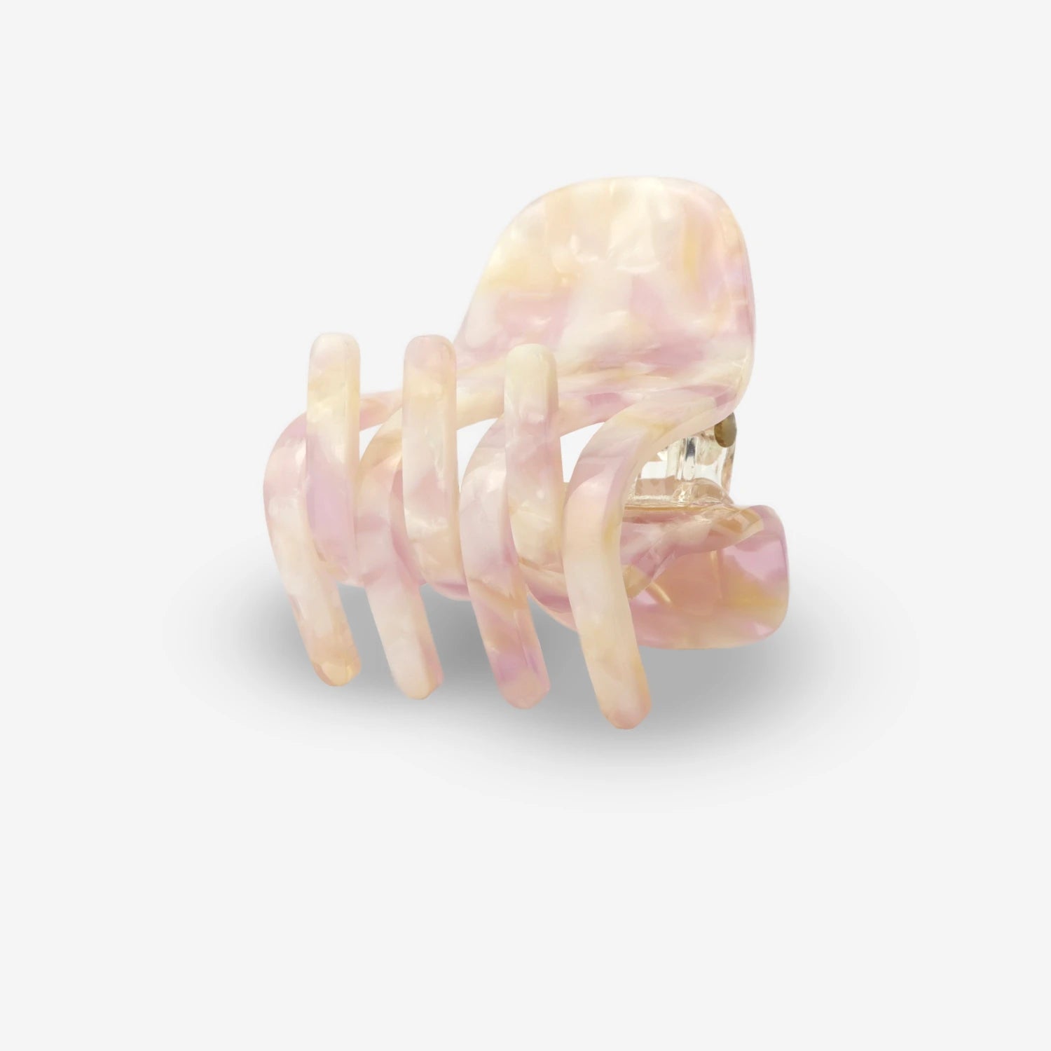 SASSTIE Hair Clip Paw