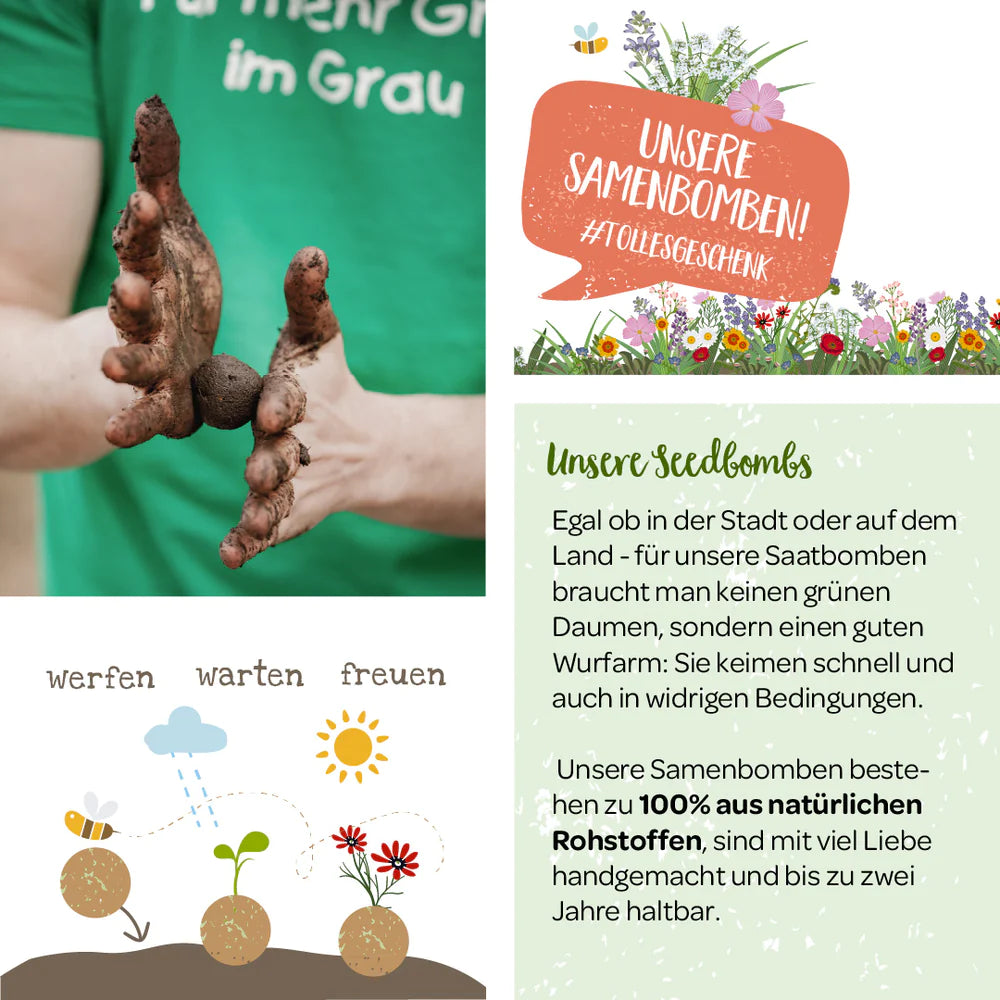 Die Stadtgärtner Wildblumen Seedbomb