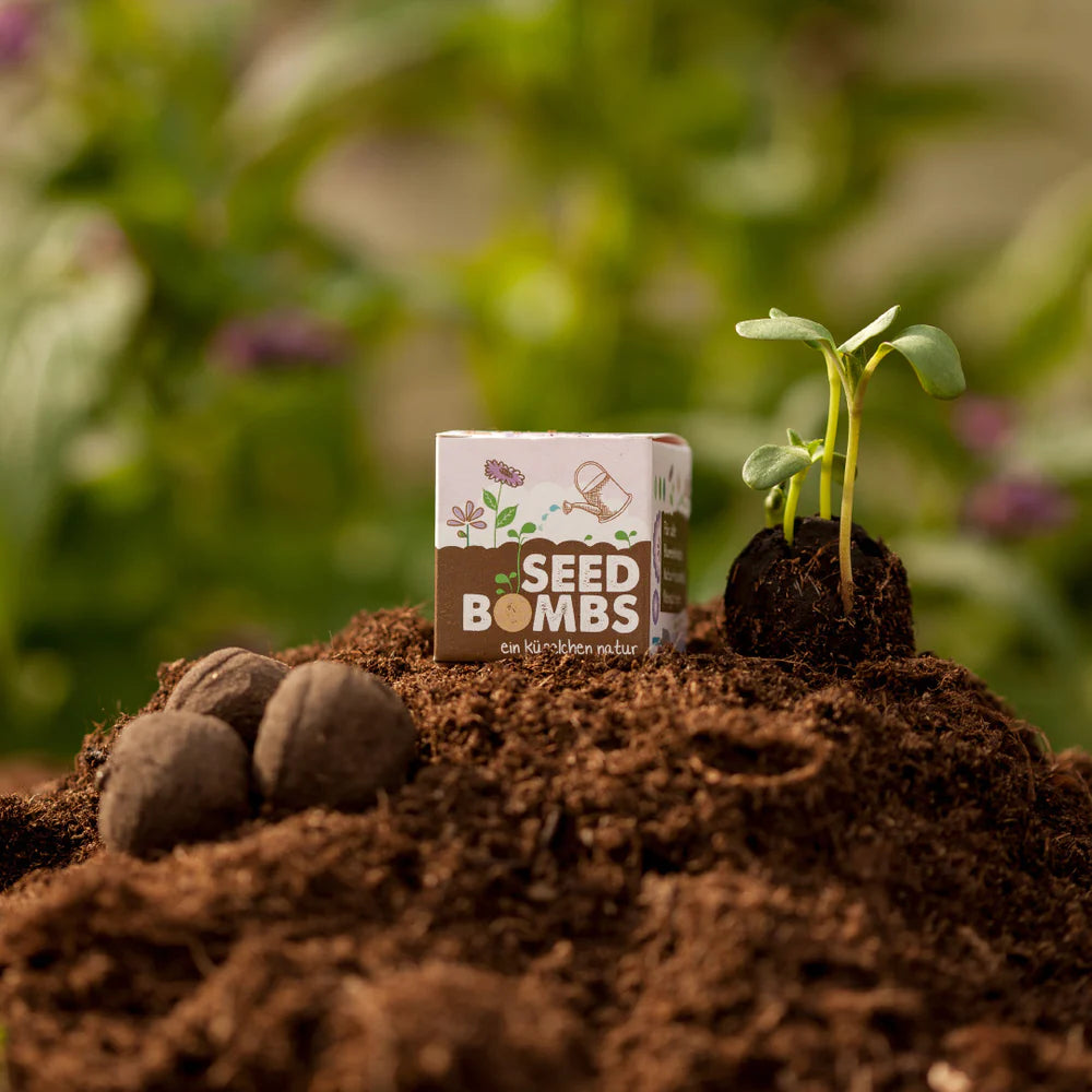 Die Stadtgärtner Wildblumen Seedbomb