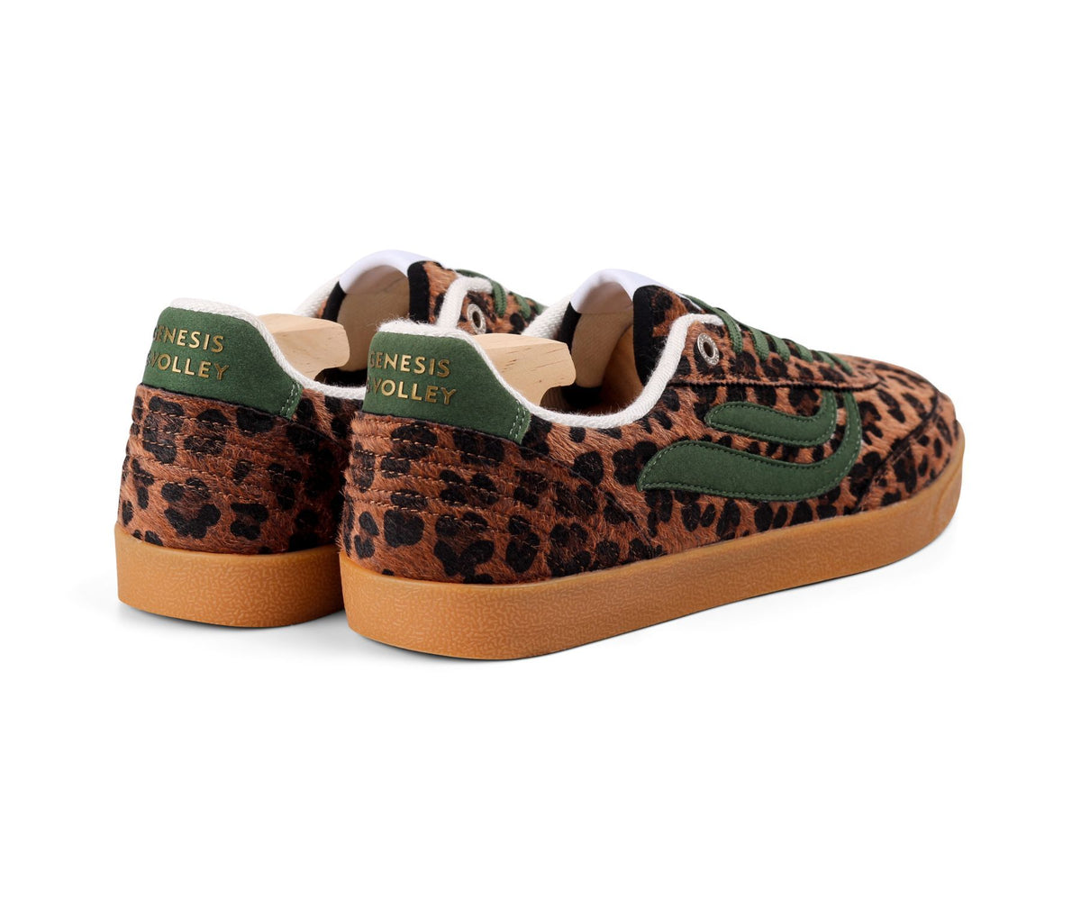 GENESIS G-Volley Sugar Corn 