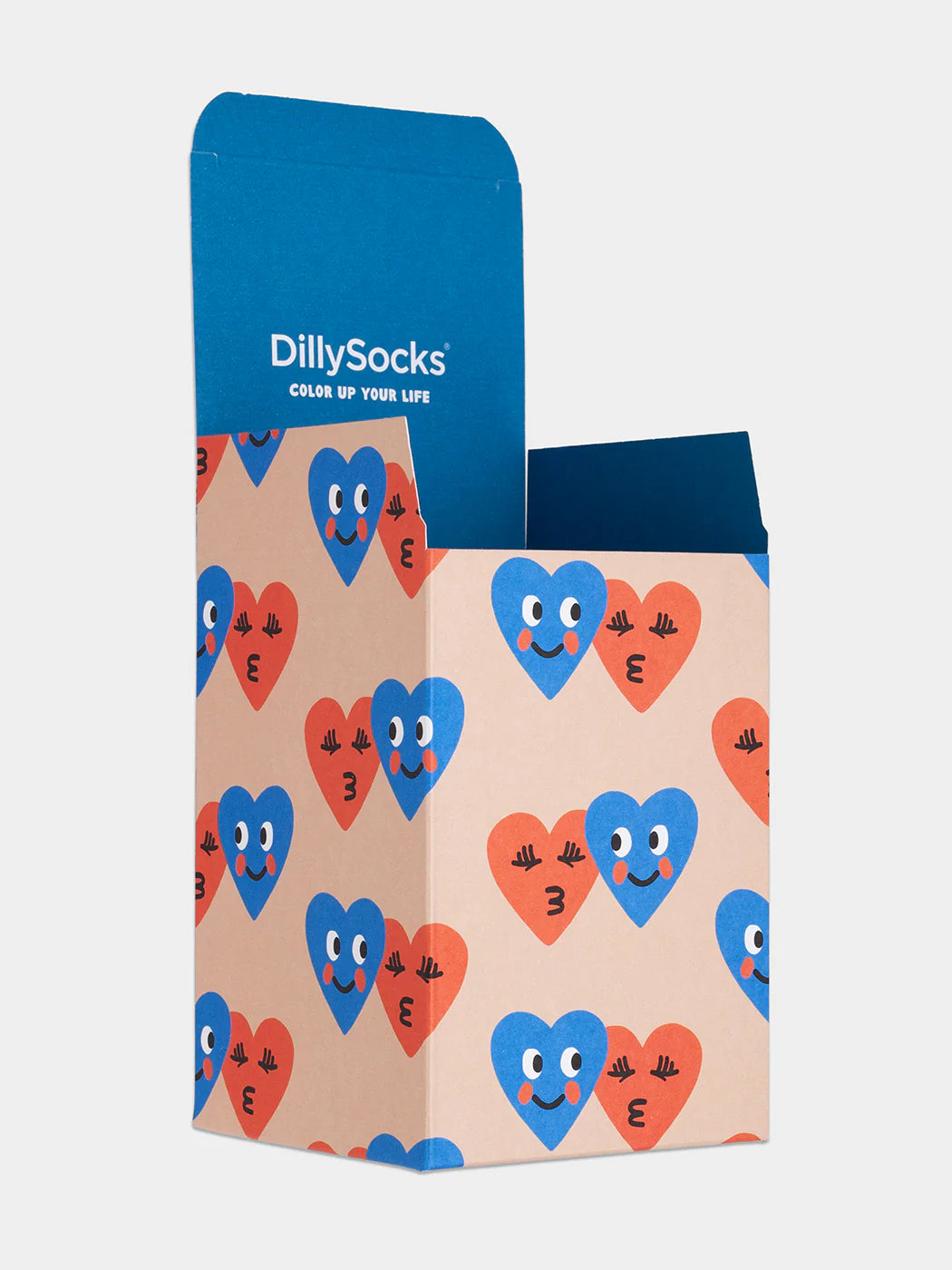 DILLYSOCKS Geschenkverpackung