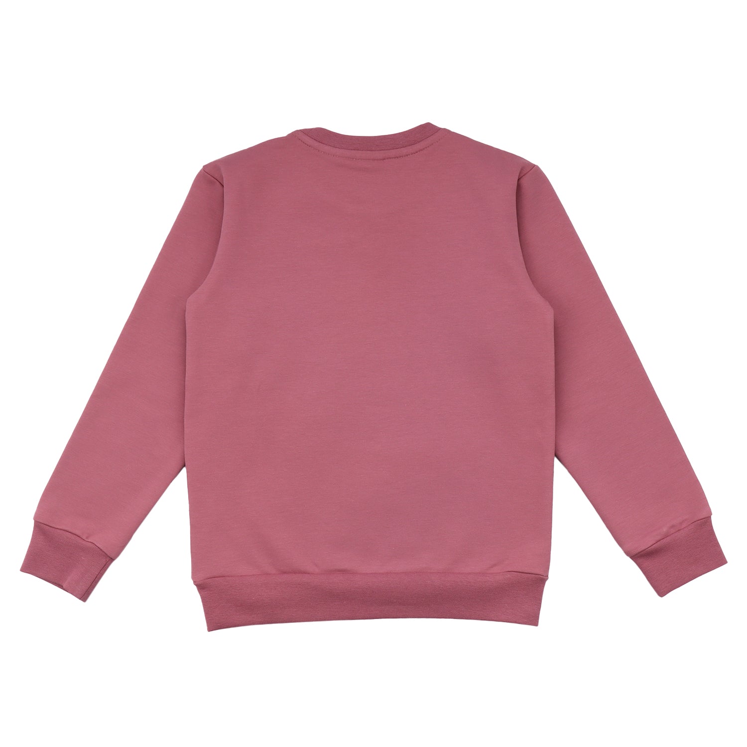 WALKIDDY Sweatshirt Secret Forest aus Baumwolle (Bio)