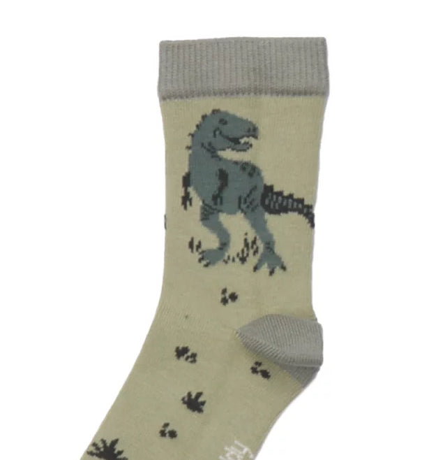 WALKIDDY Socks – Boys