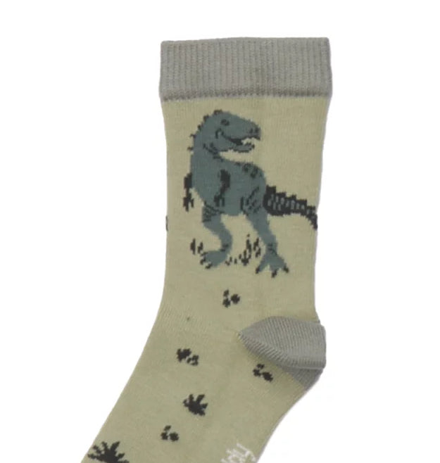 Walkiddy Socken – Dinosaurland