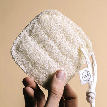 Gaia Luffa Kitchen Sponge 