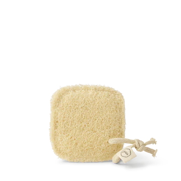 Gaia Luffa Kitchen Sponge 